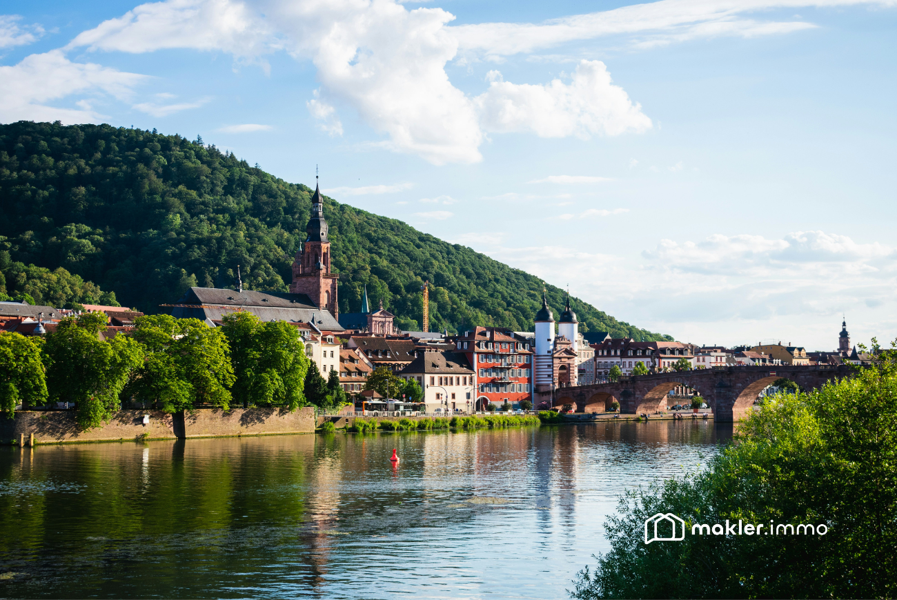 Sie sehen die Stadt Heidelberg